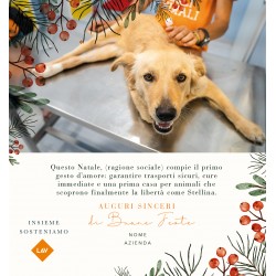 E-CARD DIGITALE - PRIMO...